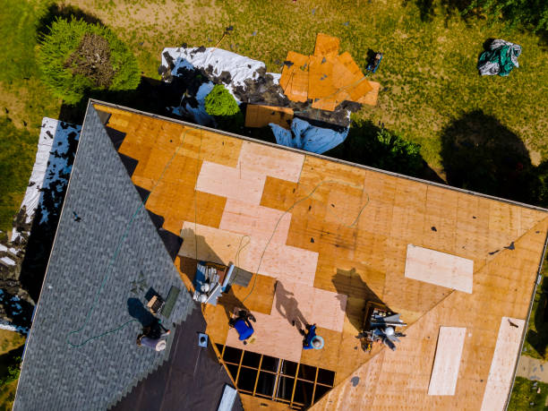 Best Gutter Installation and Roofing  in La Crescent, MN