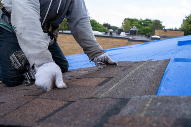 Best Slate Roofing Contractor  in La Crescent, MN