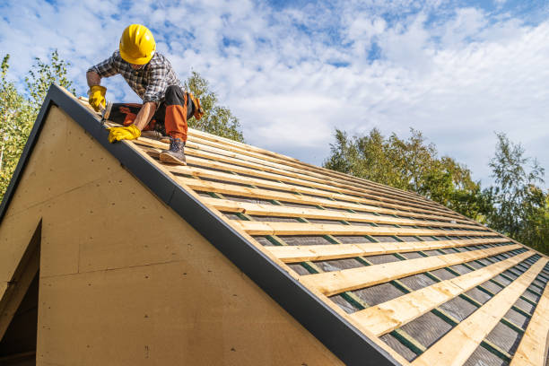 Best Roofing Contractor Near Me  in La Crescent, MN