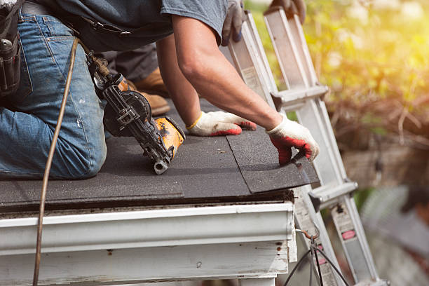 Best Storm Damage Roof Repair  in La Crescent, MN