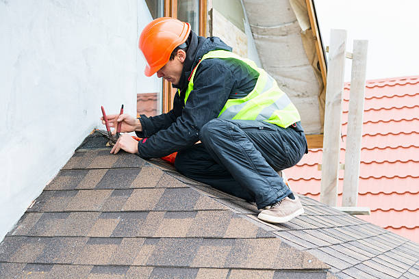 Best Metal Roofing Contractor  in La Crescent, MN
