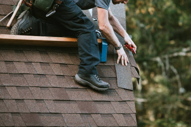Best Metal Roofing Contractor  in La Crescent, MN