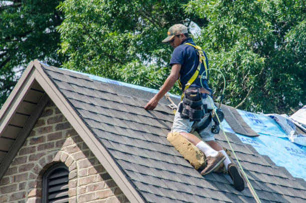 Best Local Roofing Companies  in La Crescent, MN